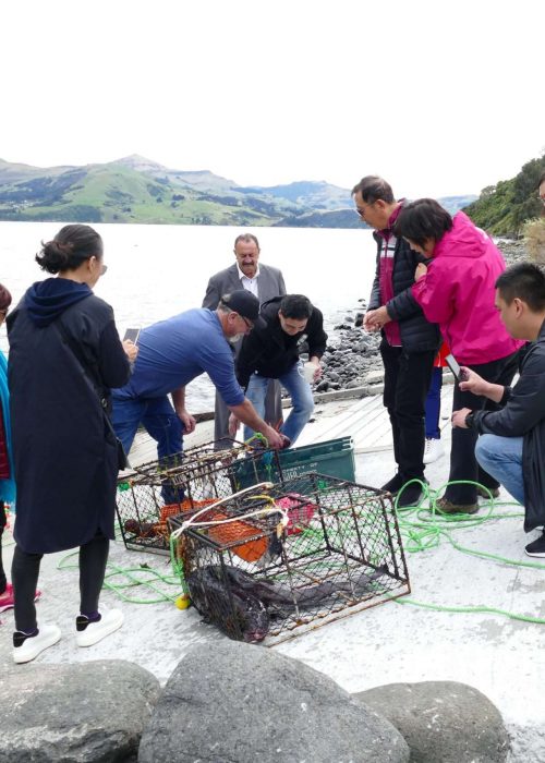 Pipi Journeys Akaroa - authentic New Zealand experience and local connection - fishing (5)